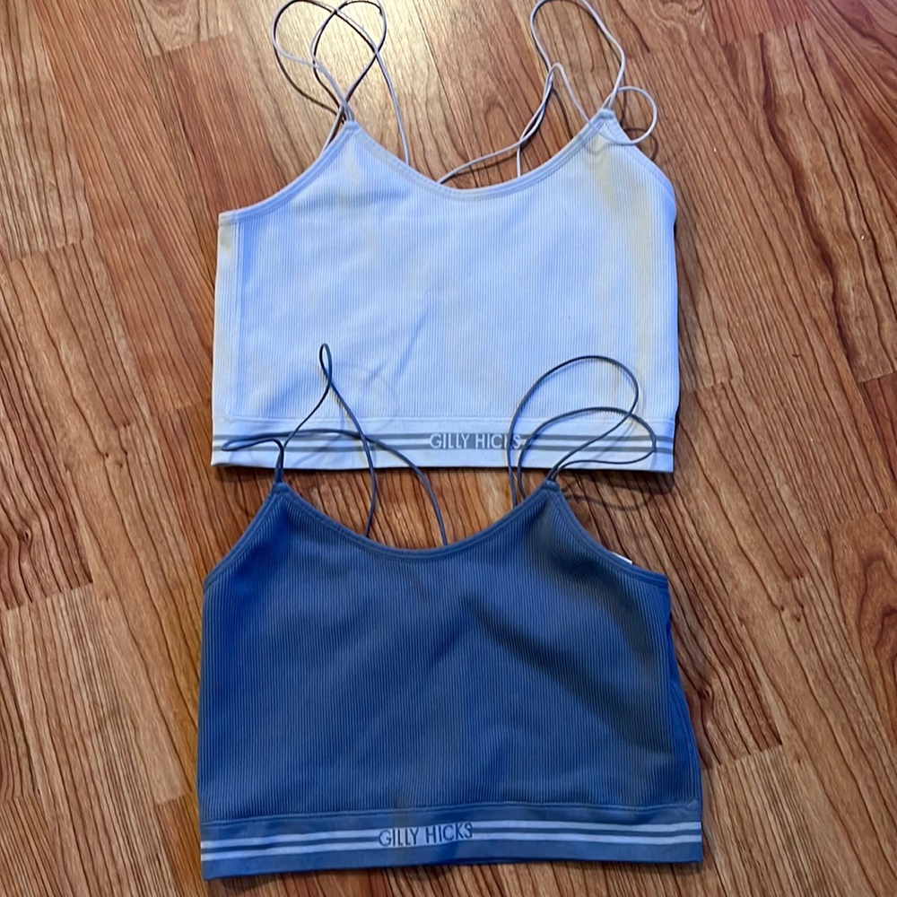 Gilly Hicks bralette (2)